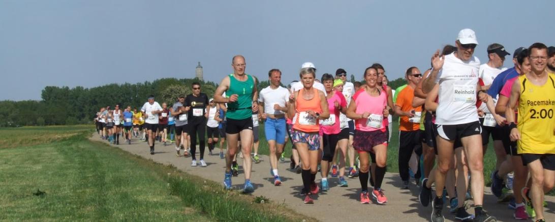 Bereits zum elften Mal richten der TV Bopfingen und der TSV Nördlingen den Pf-Ries Halbmarathon aus. (Archivbild 2018). 