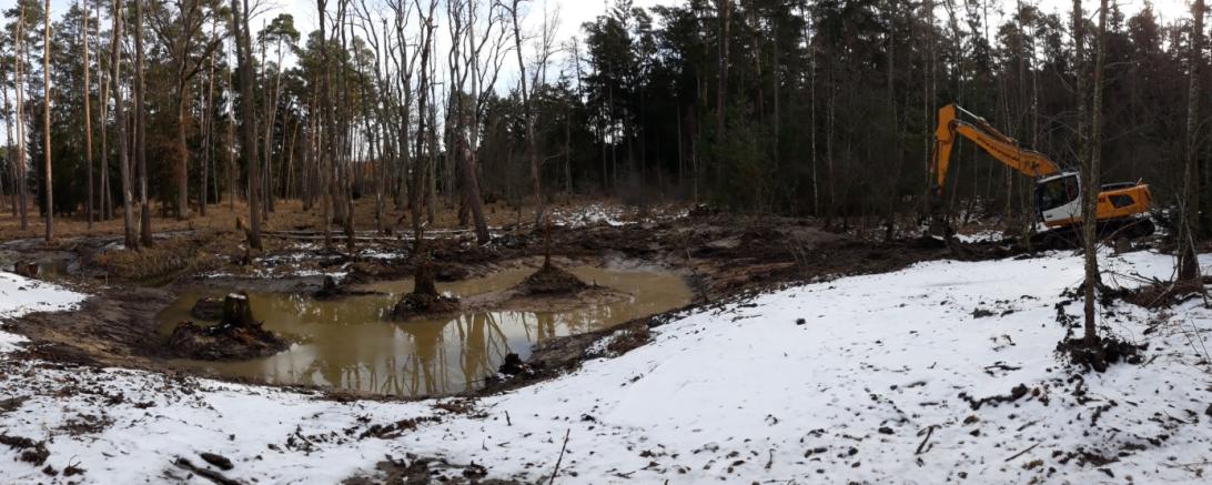 Die Volkshochschule Wemding bietet in diesem Zusammenhang, gemeinsam mit der Schutzgemeinschaft Wemdinger Ried, am Samstag, 16. März 2019 von 14 bis 16 Uhr eine kostenlose Frühjahrswanderung zu den Laichtümpeln im Waldbereich Neuhau – Schwalberholz an.