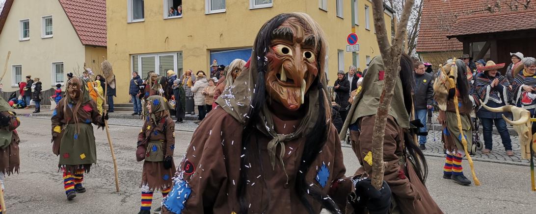 Faschingsumzug Mertingen 2019