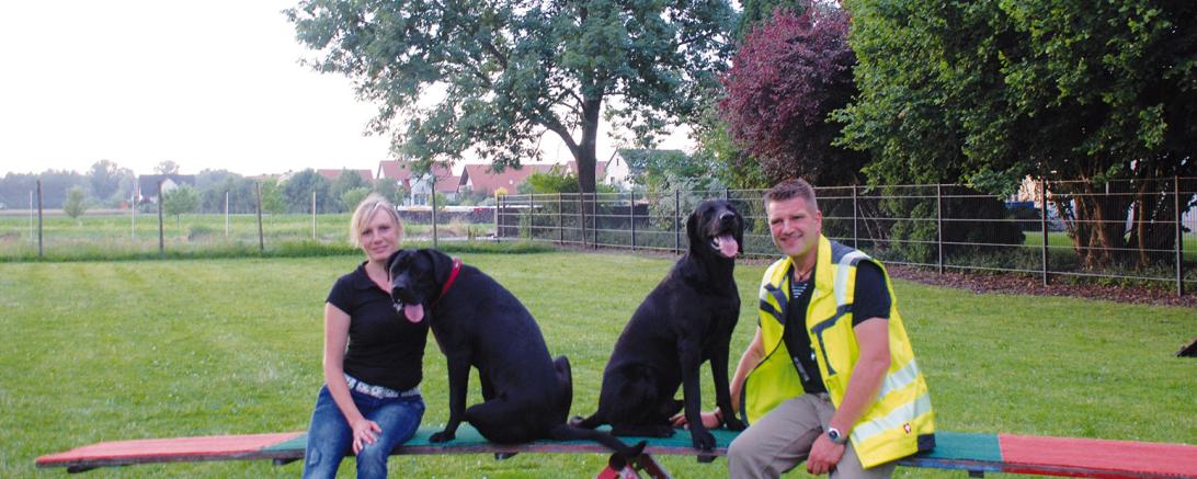 Agility Parcours mit Profivorführung Konstantin Schorr