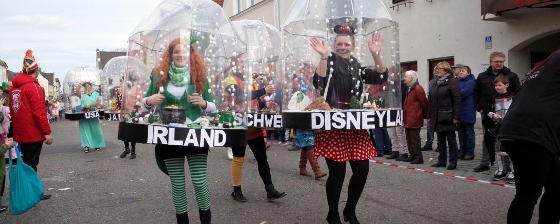 Faschingsumzug Rain 2019