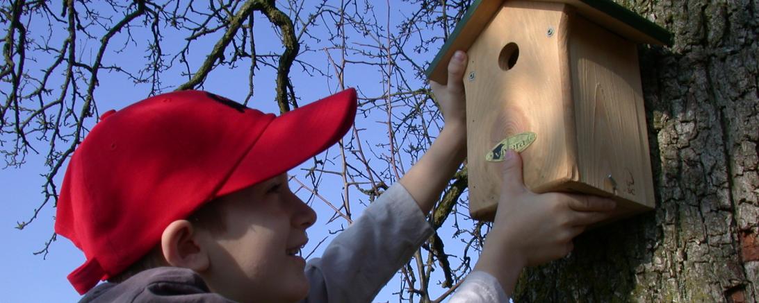 Nistkastenbau des LBV
