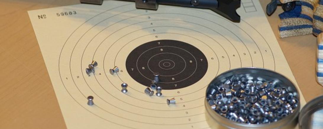 Das Bild zeigt eine Zielscheibe.