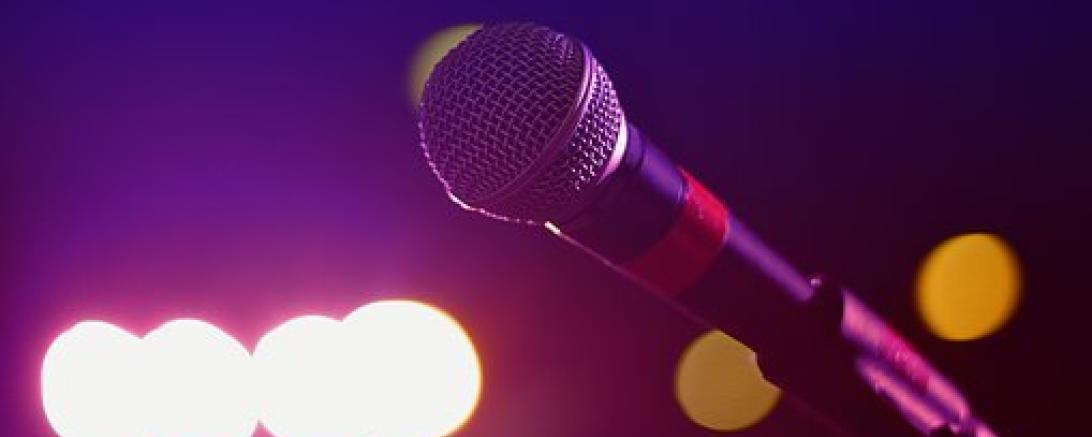 Das Bild zeigt ein Mikrofon.