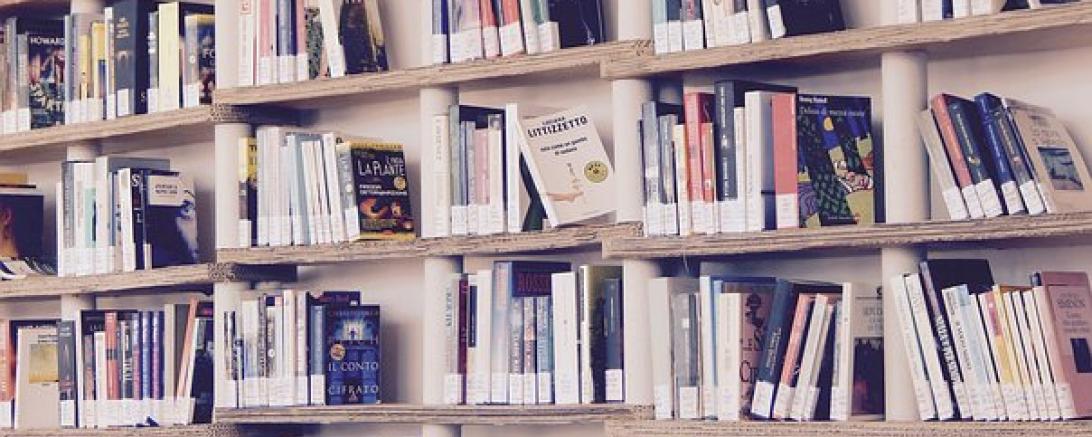 Das Bild zeigt ein Bücherregal.