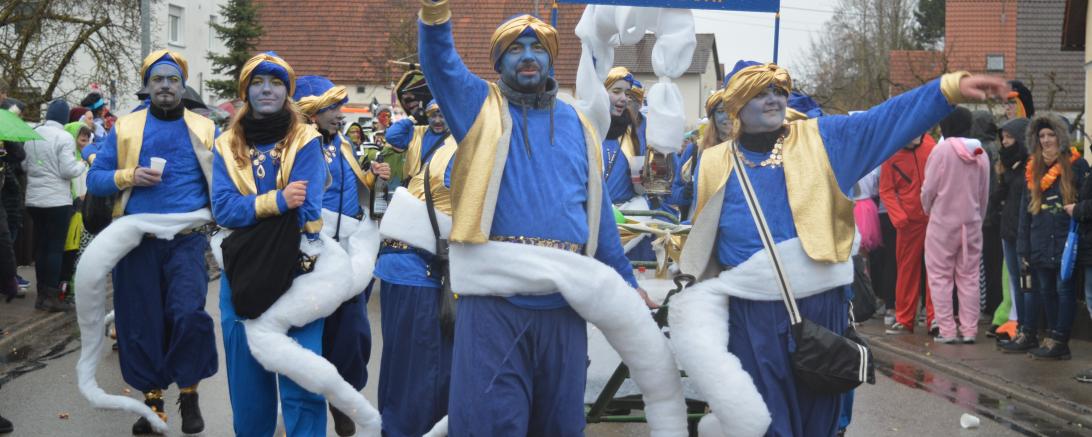 Faschingsumzug Oberndorf 2019