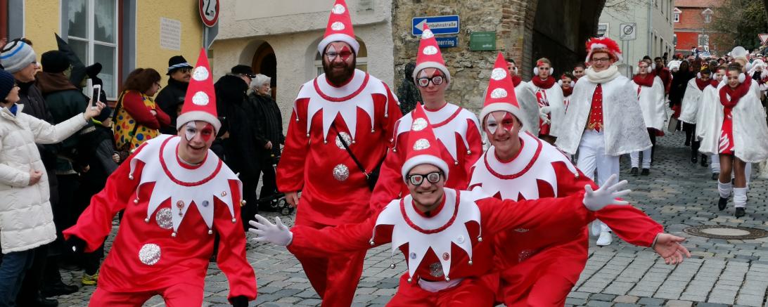 Faschingsumzug Wemding 2019
