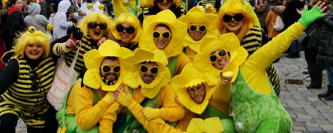 Faschingsumzug Wemding 2019