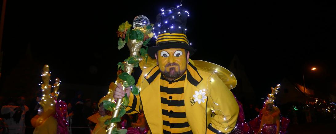 Nachtumzug Bäumenheim 2019