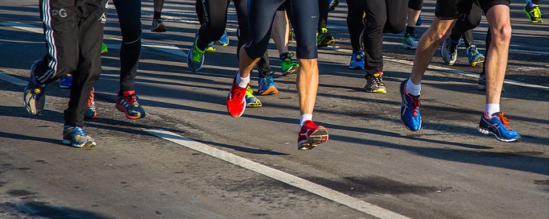 Das Bild zeigt Läufer