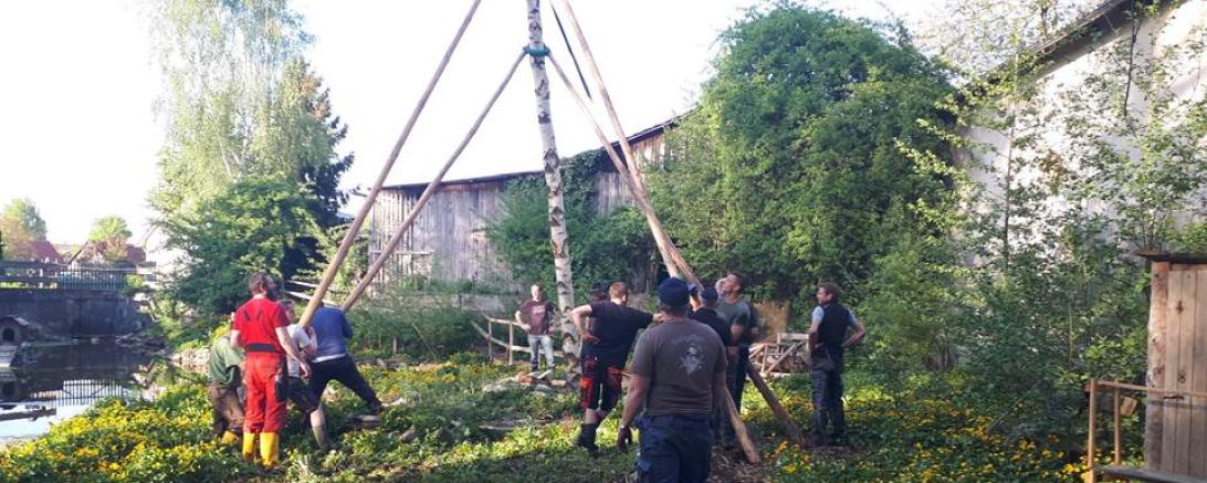 Bei den Maibaumfreunden Gipfelstürmern Mönchsdeggingen wird der Baum noch mit Manneskraft aufgestellt.