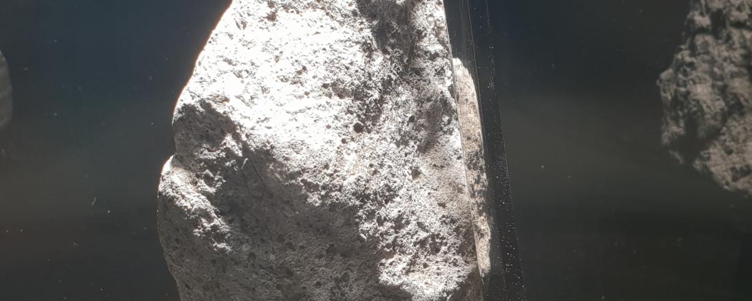 Die Sonderausstellung „Apollo – 50 Jahre Mondlandung“ ist noch bis 10. März 2020 während der üblichen Museumszeiten und nach Vereinbarung zu sehen.