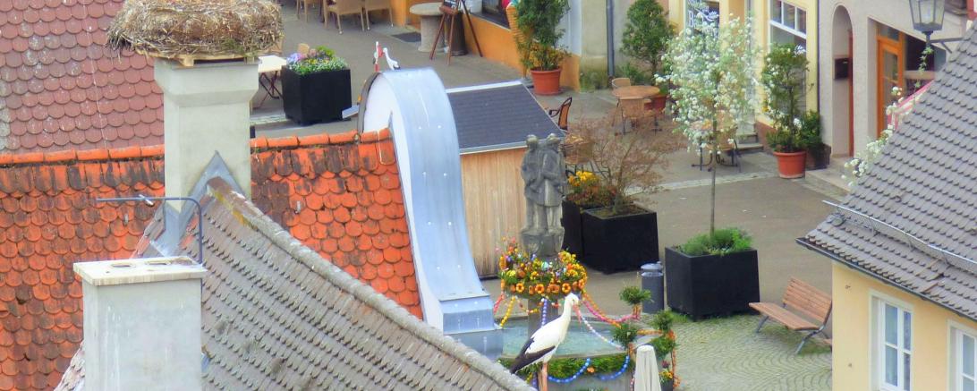 Von 14.04.2019 bis 28.04.2019 sind die Oettinger Brunnen wieder hübsch zur Osterzeit herausgeputzt. 