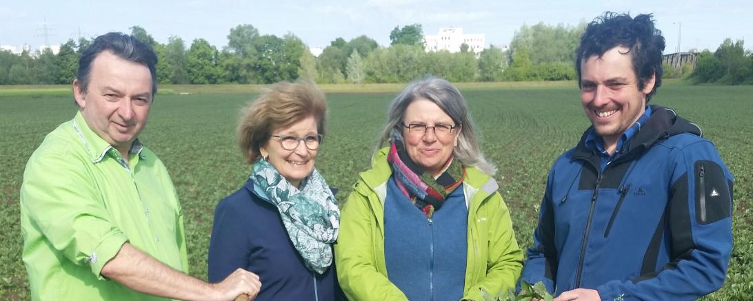 Das Bild zeigt von links: Bezirksrat Albert Riedelsheimer, Kreisvorsitzende Ursula Kneißl-Eder, Europakandidatin Birgit Raab und Biobauer Michael Näßl.