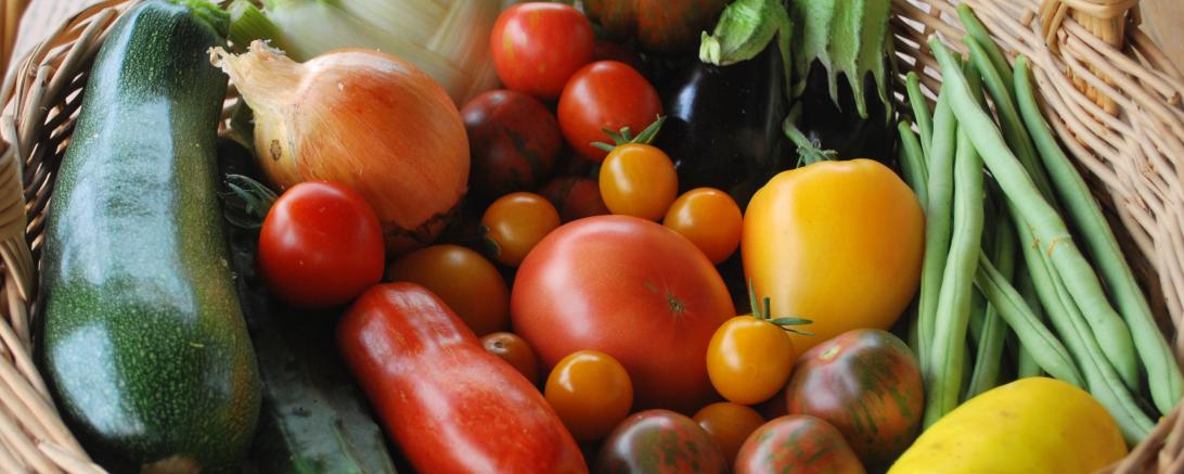 Die Ernte vom letzten Sommer.