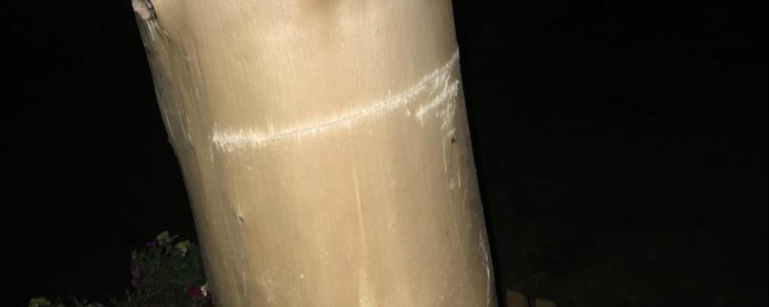 Maibaum Kleinerdlingen