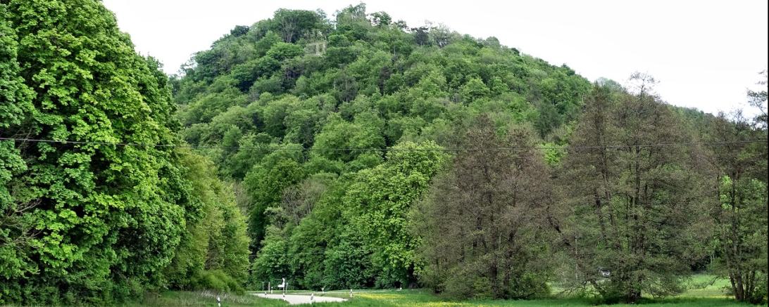 Das Bild zeigt das Kartäusertal.