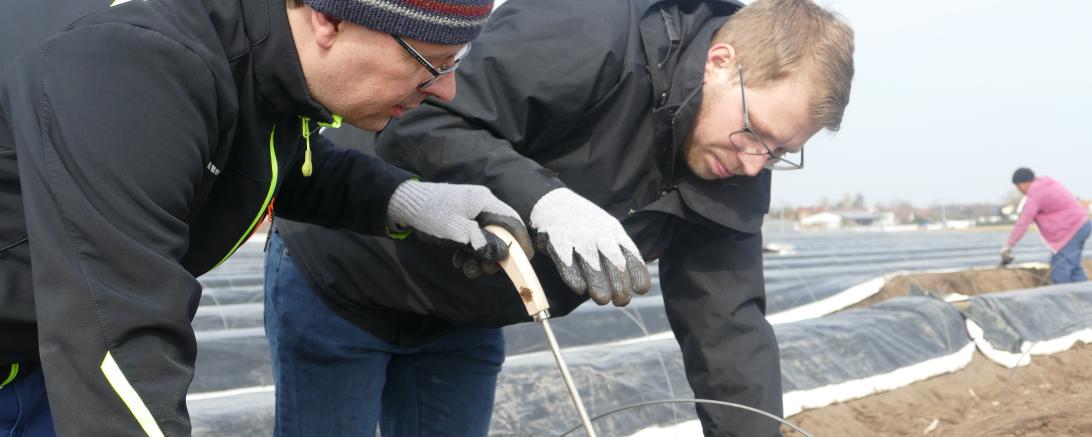 Ulrich Murr vom Sonnenhof in Rudelstetten zeigt wie es geht. 