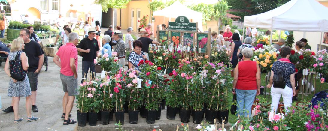 Das Bild zeigt das Archivbild von 2018.