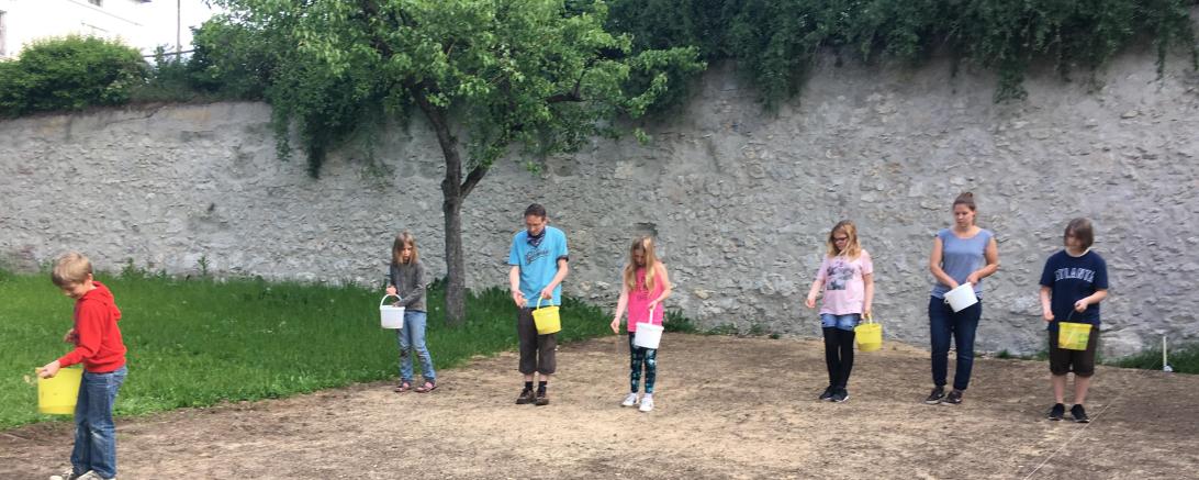 Das Bild zeigt die Blühwiese im Jugendgarten am Löpsinger Tor in Nördlingen.