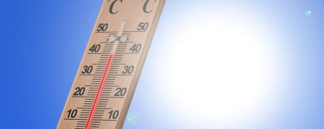 Das Bild zeigt ein Thermometer.