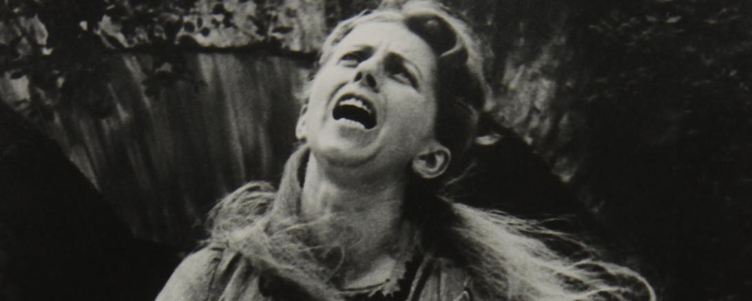 Das Bild zeigt eine Hexe.