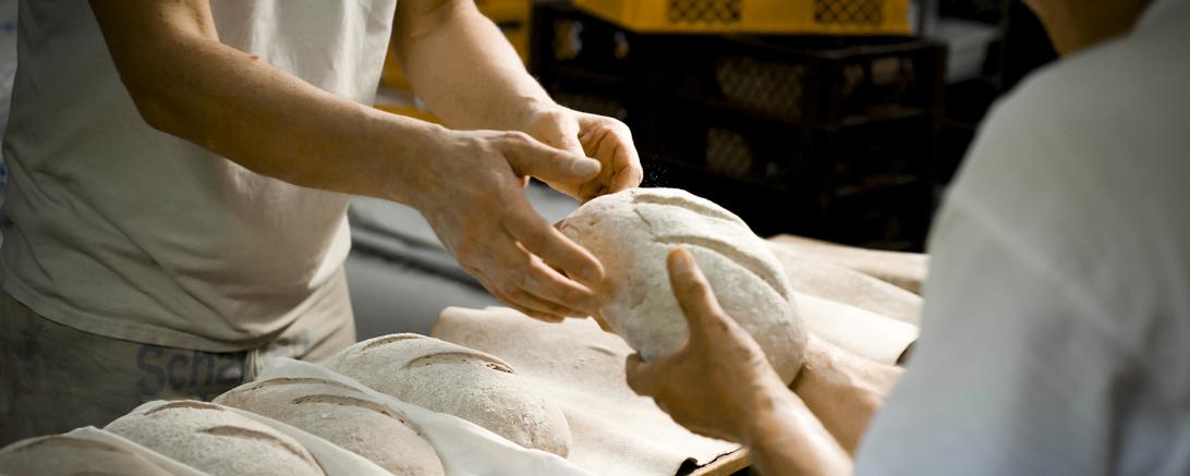 Das Bild zeigt Bäcker Teiglinge