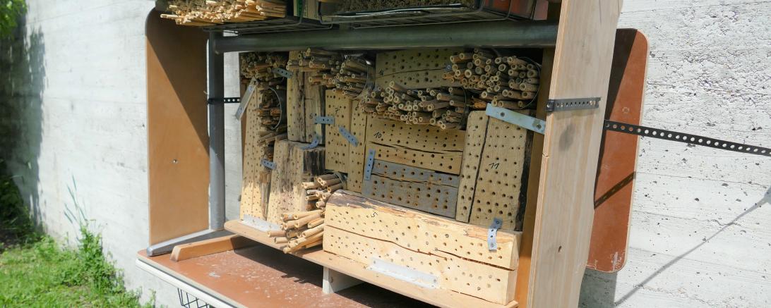 Das Bienenhaus im Garten der Münster-Pfarrei hat schon zahlreiche Bewohner.