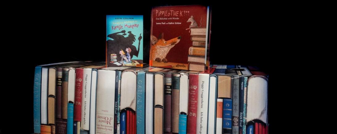 Das Bild zeigt Bücher