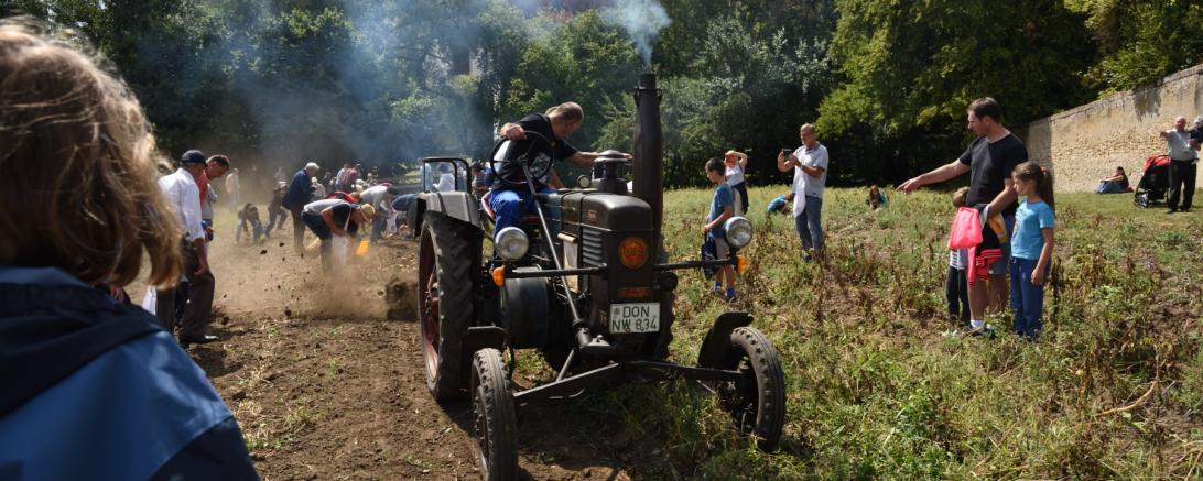 Kartoffelfest in Maihingen