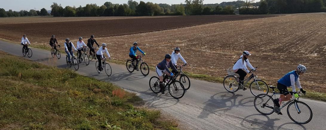 Das Bild zeigt das Pink Ribbon Radteam