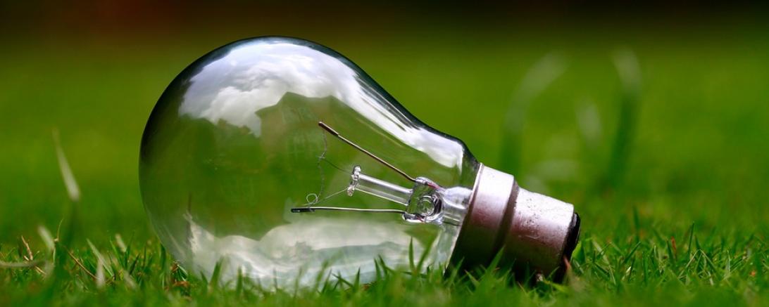 Das Bild zeigt eine Glühbirne
