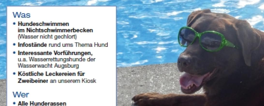 Plakat zum "Hunds"tag