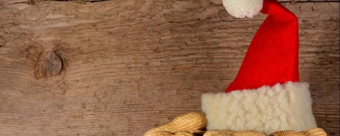 Das Bild zeigt eine Nikolausmütze