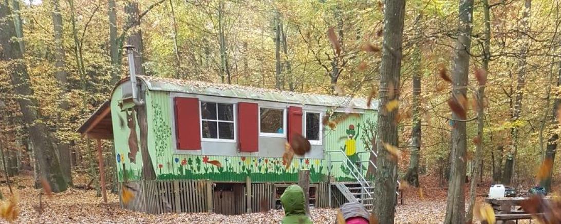 Das Bild zeigt den Waldkindergarten der Donauwörther Waldbären e.V.