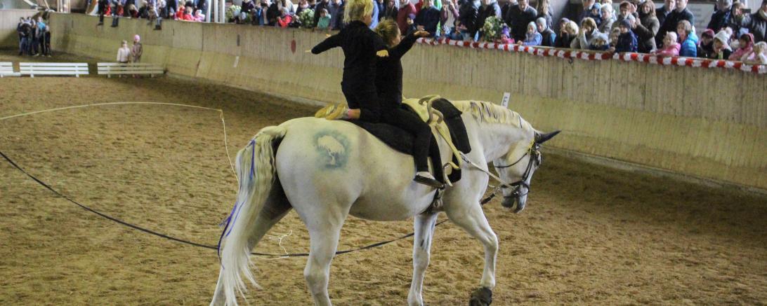 Zwischen 13:00 und 17:30 Uhr werden verschiedene Spiele für Kinder, Schnitzeljagd, Kinderschminken, ein Glücksrad mit tollen Preisen, Ponyreiten, Waffeln & Zuckerwatte angeboten. Im Imbiss wird für das leibliche Wohl gesorgt.
