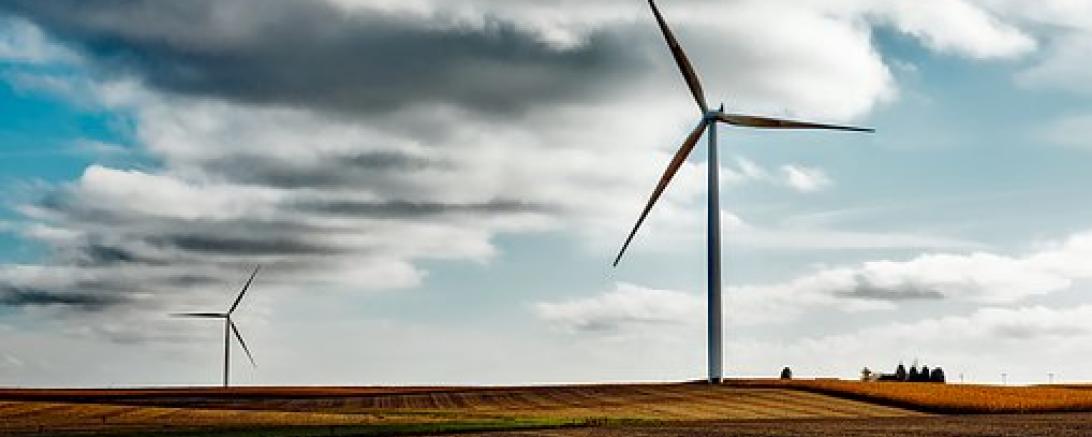 Das Bild zeigt Windräder