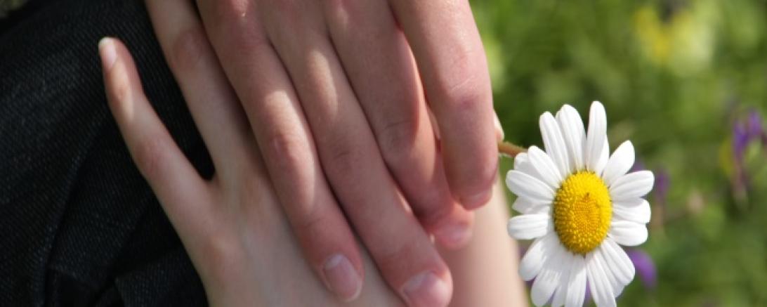 Das Bild zeigt zwei Hände mit einer Blume