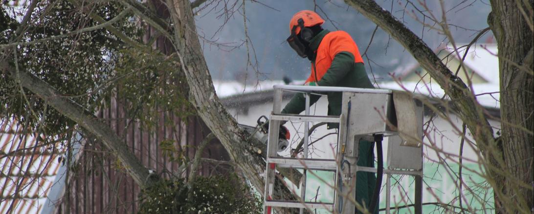 Symbolfoto Baumarbeiten