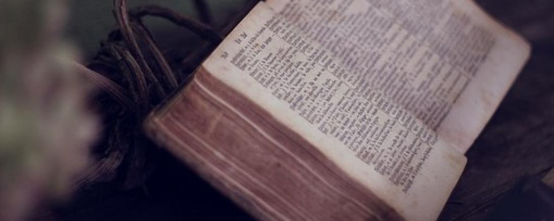 Das Bild zeigt eine Bibel