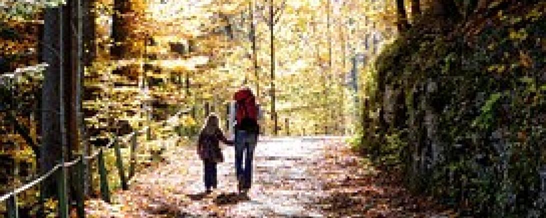 Das Bild zeigt zwei Menschen bei einer Herbstwanderung im Wald