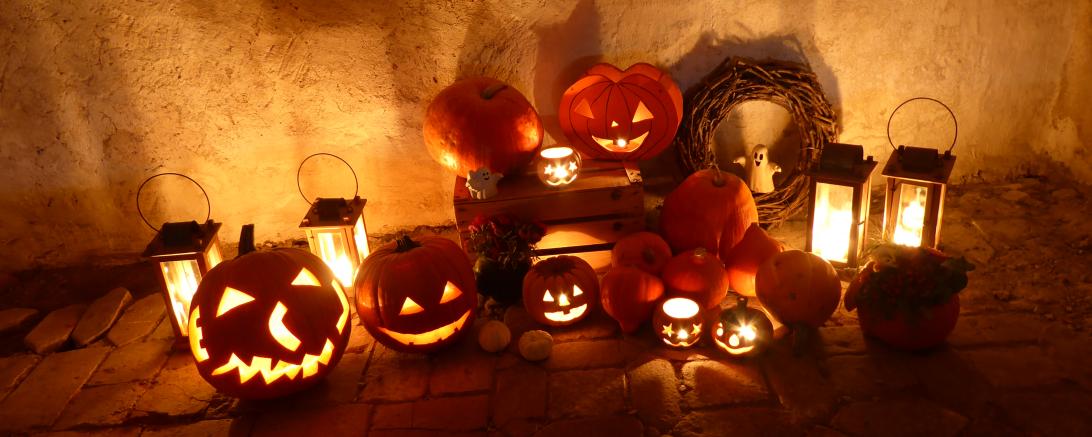 Das Bild zeigt Kürbisse aus der Kürbislichterführung auf Schloss Harburg