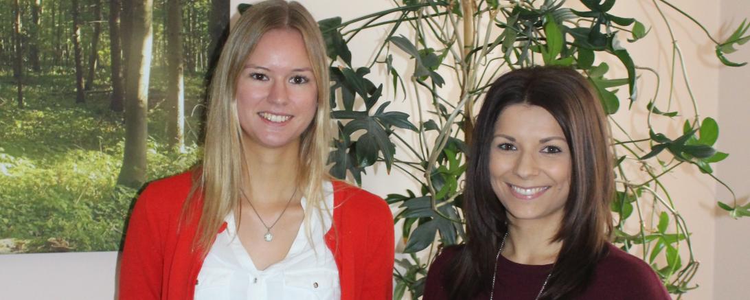 Das Bild zeigt den Abfuhrplan für 2020