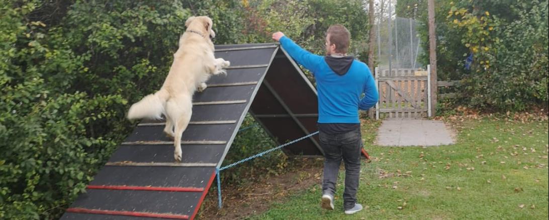 Das Bild zeigt einen Hund mit seinem Besitzer beim Hundesport Agility