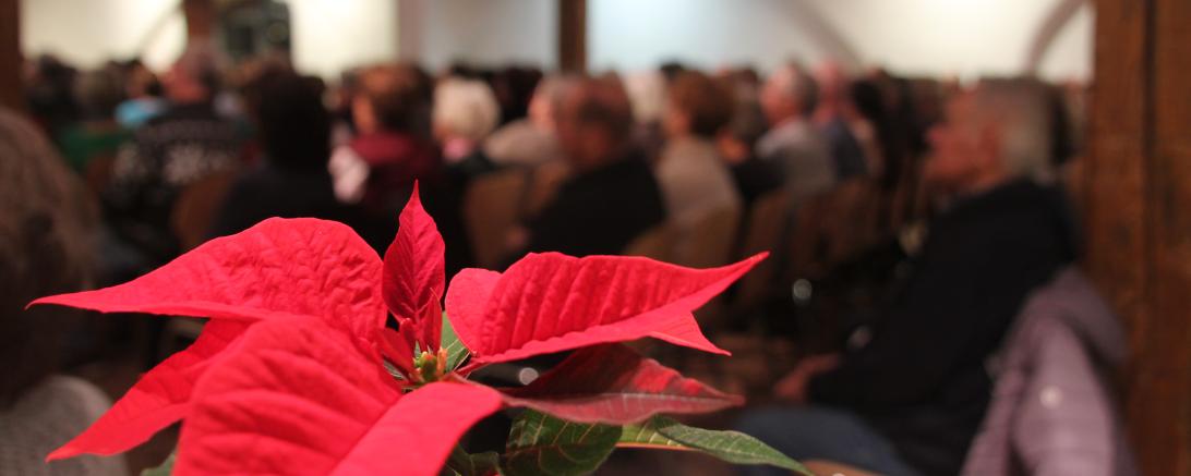 Weihnachtsstern mit Gästen im Hintergrund
