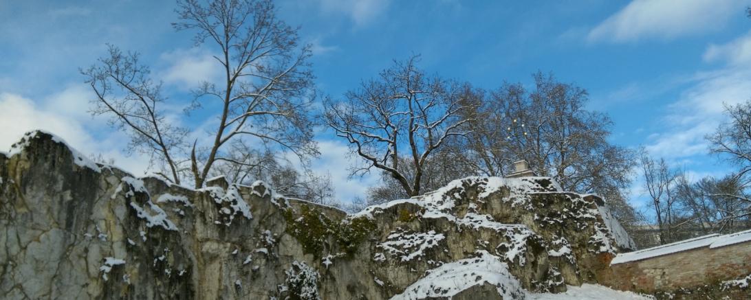 Das Bild zeigt die Mangold Burg in Donauwörth
