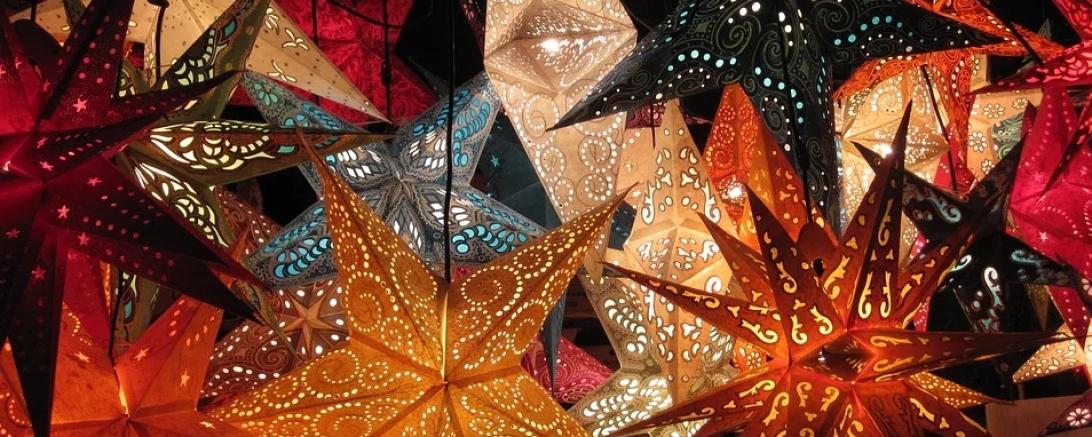 Das Bild zeigt Weihnachtssterne