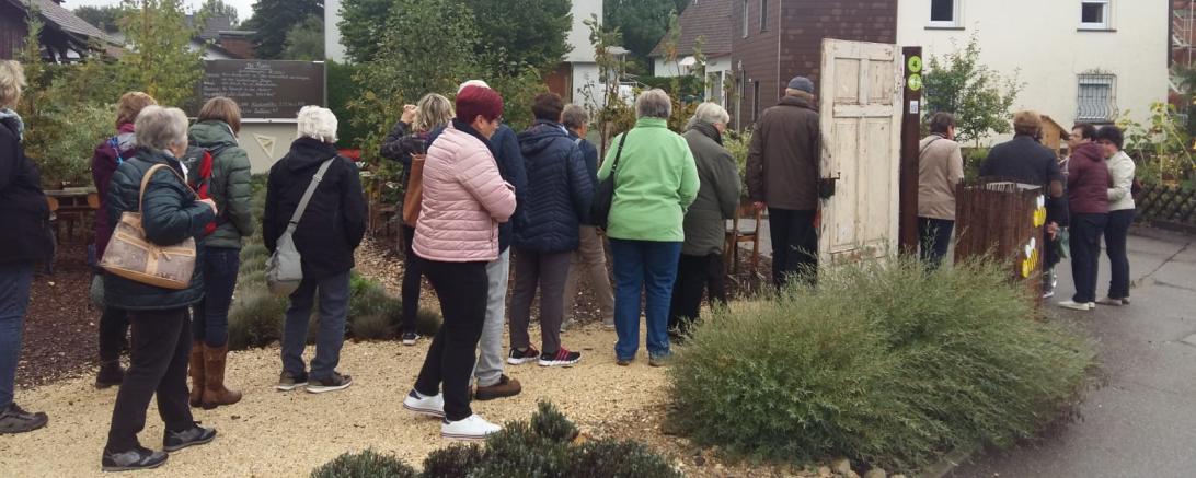 Mehrere Personen sehen sich einen Kleingarten an