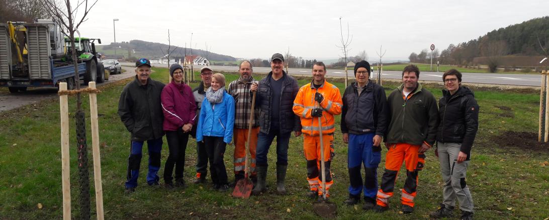 Pflanzung von 20 Obstbäumen