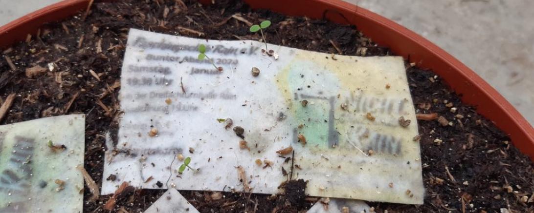 Faschingsclub Rain blüht